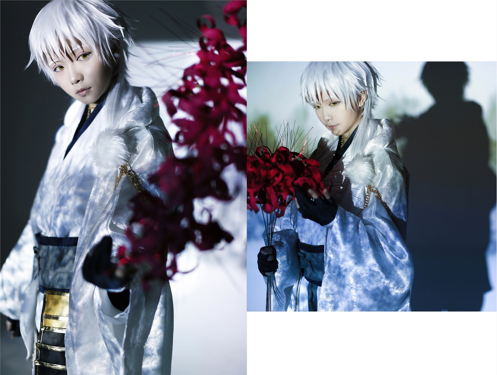 Star's Delay to December 22, Coser Hoshilly BCY Collection 4(74)